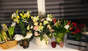 85B7C68D-AE1B-47CD-98BC-2C67886FAD50.webp