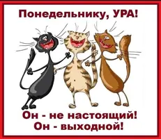 IMG_20200309_112946.webp