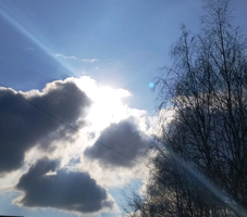 1583755491199.webp