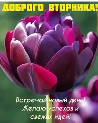 IMG_20200310_063011_288.webp