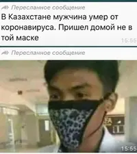 14076376.webp