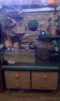 IMG-20200305-WA0004.webp