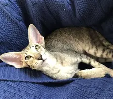 1F92979F-7B99-4976-9611-3B6FC0483432.webp