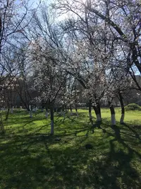 IMG-88825f18886734478b1c4fb2c756156f-V.webp