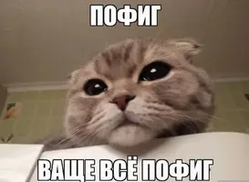Пофиг.webp