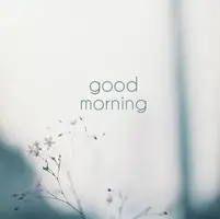 31382ab835c8d3c198f2c19fe4e02783.webp