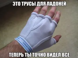 1.webp