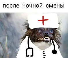 4.webp