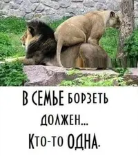 IMG_20200305_194450.webp