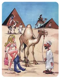 orig.webp