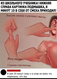 D945E9D5-A548-43EB-8271-D5BF5FAC9433.webp