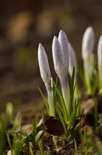 _DSC4478_1.webp
