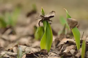 _DSC4426.webp