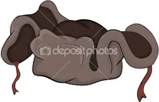 depositphotos_8047420-Winter-cap.-A-cap-with-ear-flaps.-Cartoon.webp