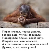 IMG-20200320-WA0011.webp
