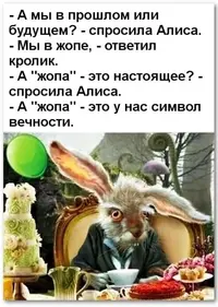 bhWxKQfMFG0.webp