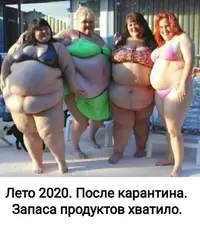 BEE87907-3F97-4432-99A0-DE2C3816451D.webp
