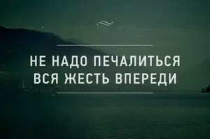 s1200-800x533.webp