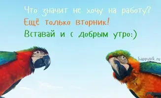 Вот-и-вторник-наступил-прикольные-картинки-017.webp