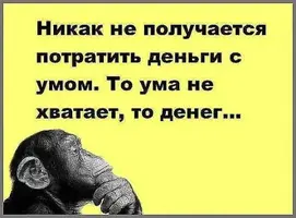79967984.f.0.360.0.webp
