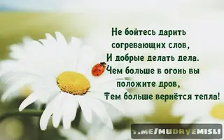 73415A08-8EC9-468C-86E7-3994348B43B4.webp