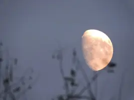 DSCN3018.webp