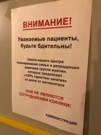 260642167.p.0.360.0.webp