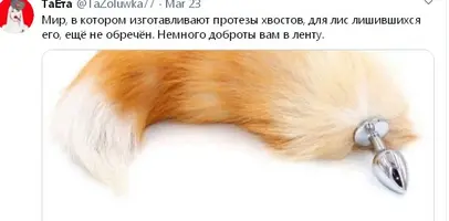 full_c66395958e.webp