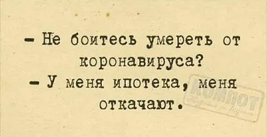 S00325-105633(1).webp