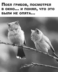 3DeHnqTmsFA.webp