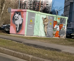 1585248753040.webp