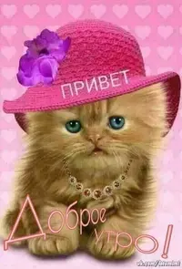 8aa9cd68033e1b2984bcf8271f2888c4.webp