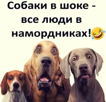 QzKQJq-nqmE.webp