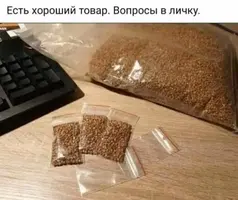 30006137_m.webp