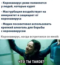 1 (6).webp