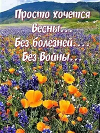 IMG_20200330_092517.webp