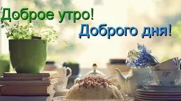 1560434532_dobroe-utro-drug-5.webp
