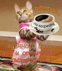 IMG-20200319-WA0011.webp