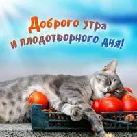 image (19).webp