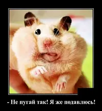 к.webp к.webp