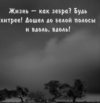 20200330_183213.webp