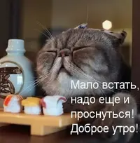image-1.webp
