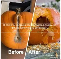 IMG-20191114-WA0020.webp