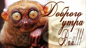 1c9b67a4b0192fab99b86e21dfdef780-768x432.webp