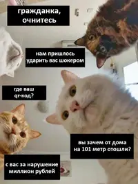 GK8gjQw02yo.webp