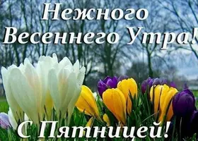 unnamed (2).webp