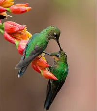 image-1.webp