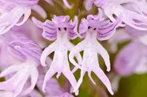 unnamed (2).webp