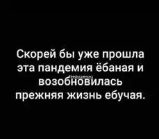 20BFB0DD-D353-4354-892A-9385BF74561A.webp