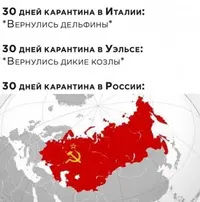 266477549.p.0.360.0.webp